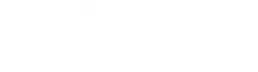 Rutas Automotores